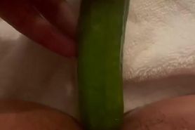 Anal Cucumber Masturbation
