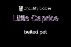 Caged chastity pet self-gags with locking ballgag