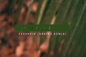 Still Cant Fall - Feverkin - Grains Remix