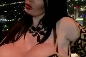 Foxy Menagerie Verre