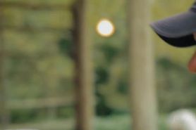 Tati Zaqui - Making Of - Playboy - 2015