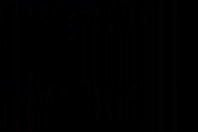 FAP City 03 _ Slide Show