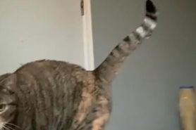 Time For Nude Stretching Exercises