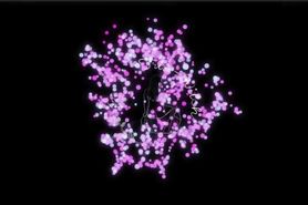 hardcore young cuplu