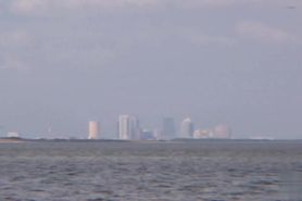 Brunette Beauty Had Nude Fun In Public