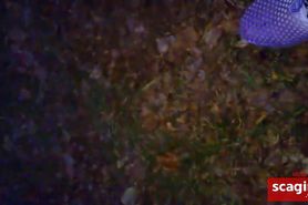 Deepthroat in the forest