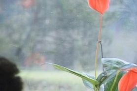 crazy mature after dick