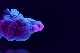 JerkBUS-High school students groped fucked and gangbang