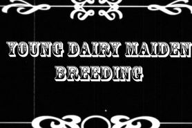Young Dairy Maiden Breeding Training Video