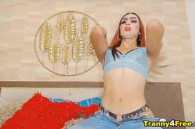 Tranny Gets Horny and Masturbates