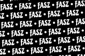 fasz