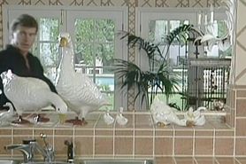 Peter North Stud Fuck