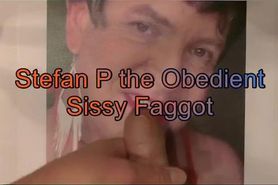 Stefan P the Obedient Faggot