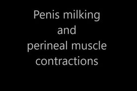 Penis milking and perineal muscle contractions