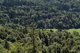 cum shot with an epic view