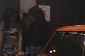 Peter North Alpha Lord