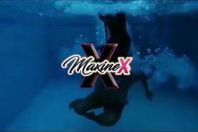 12 MaxineX