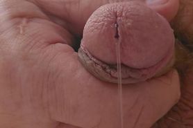 Pre Cum flowing