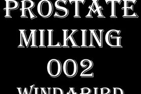 Prostate Milking 002