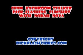 Flashdick