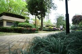 Chinese - Storiy of the house of mom