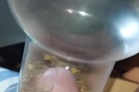 Bizarre cbt insertion bdsm pervers wasp