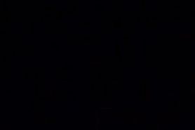 Two sexy ladies wank off a stud