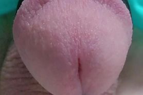 My flaccid penis