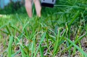 Naked guy in the garden