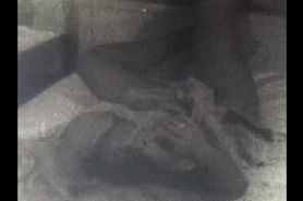 Bewitched and Busty Virginia Bell