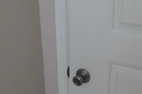 New Neighbor