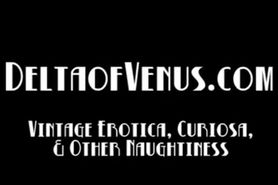 Vintage 1970s - Happy Fuckday