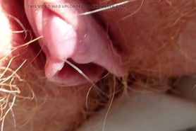 Red BUSH Users Guide w Clit usage