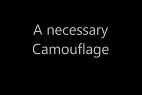 A necessary Camouflage