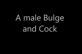 A male Bulge and Cock