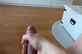 thalarctos cumtribute