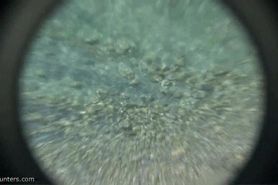 Sex on the Nudist beach