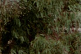 vintage big boob fuck