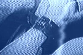 A Blowbang Fever Dream