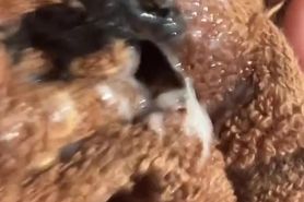 My cum inside the used GF Sock