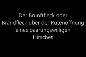 Brunftfleck
