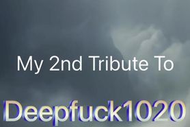 My 2nd Tribute To Deepfuck1020