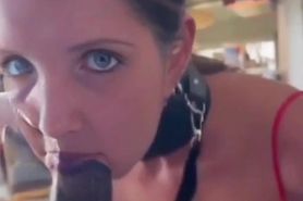 Leashed and collared