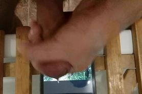 bimbo Daria14 black heels