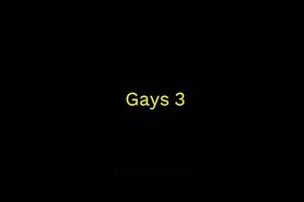 Gays 3