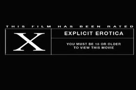 Bill the Bull Vintage