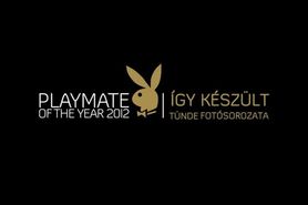 Brunette playmate goddess gets naked 