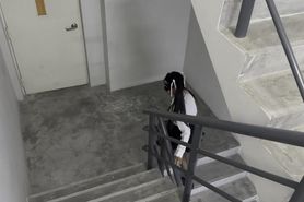 Asian schoolgirl used hard