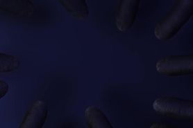 There is a monster in the toilet