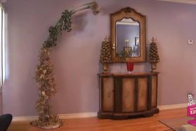 Bridging the Lesbian Age Gap